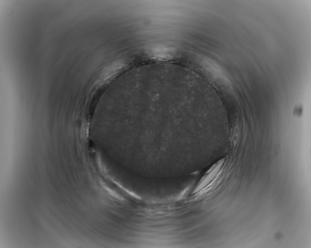 X0000099310180200805231411