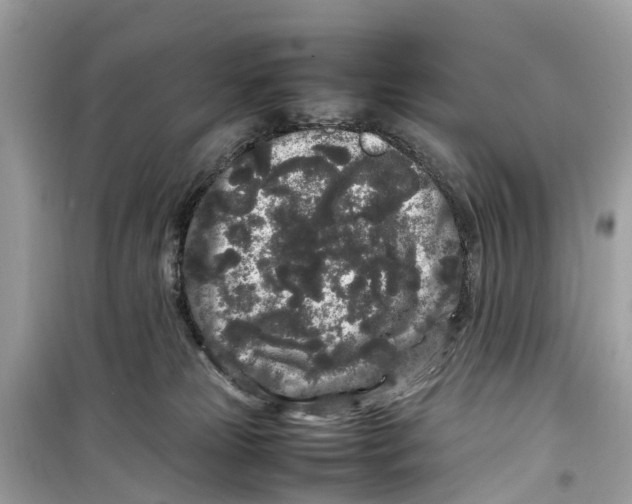 X0000099310181200805231411