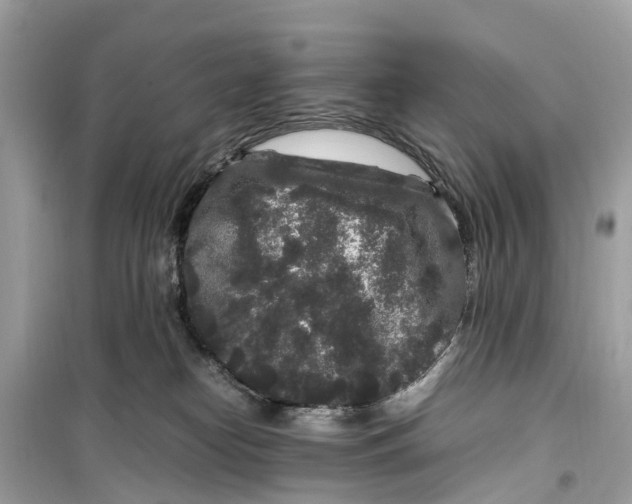 X0000099310182200805231411