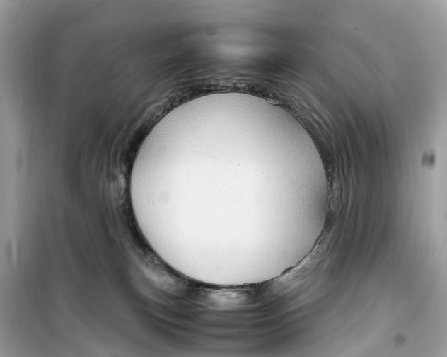 X0000099310183200805231411