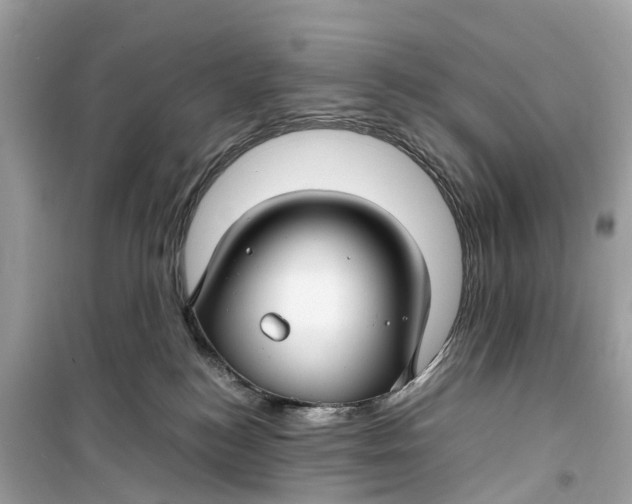 X0000099310184200805231411