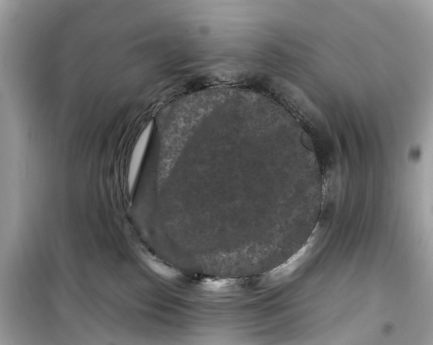 X0000099310186200805231411