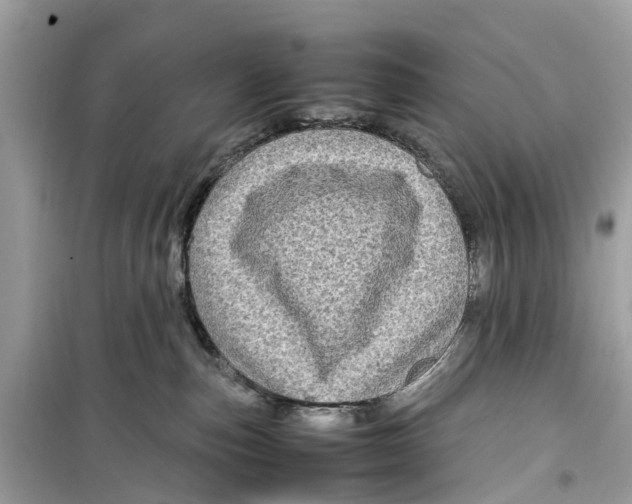 X0000099310187200805231411