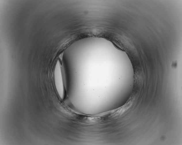 X0000099310188200805231411