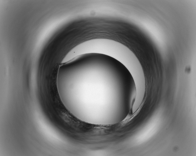 X0000099310190200805231411