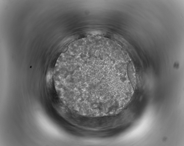 X0000099310191200805231411