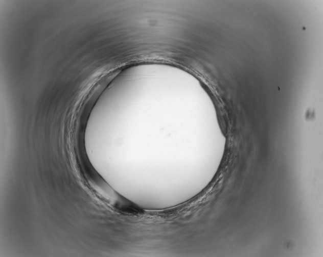 X0000099310193200805231410