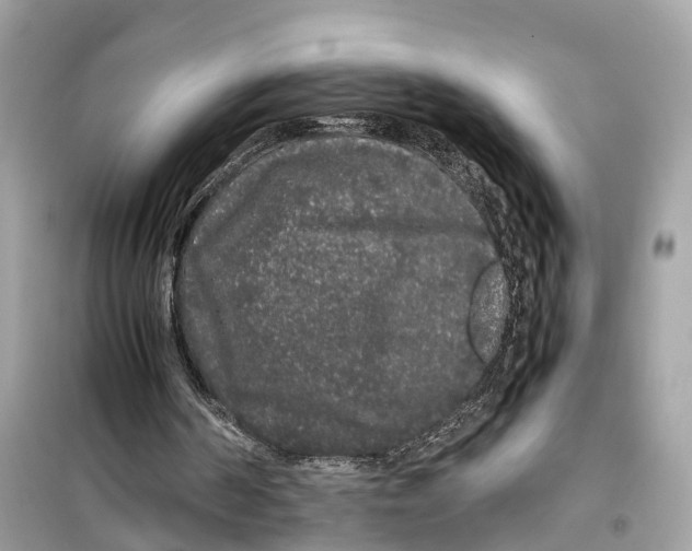 X0000099310194200805231410