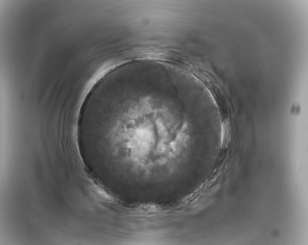 X0000099310195200805231410