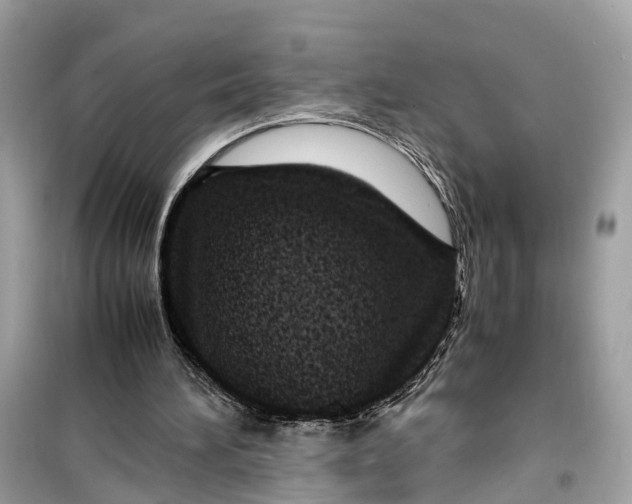 X0000099310196200805231410