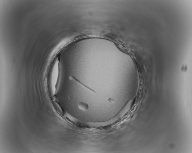 X0000099310197200805231410