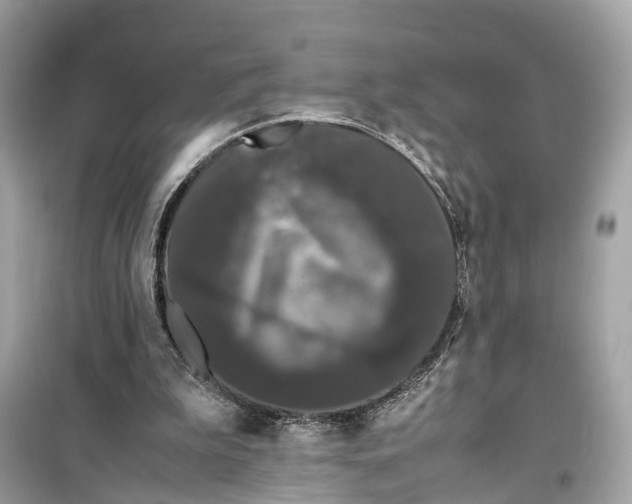 X0000099310199200805231410