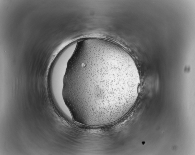 X0000099310200200805231410