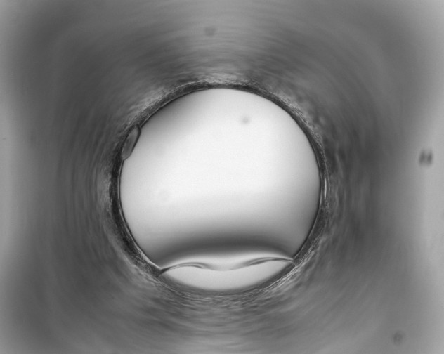 X0000099310201200805231410