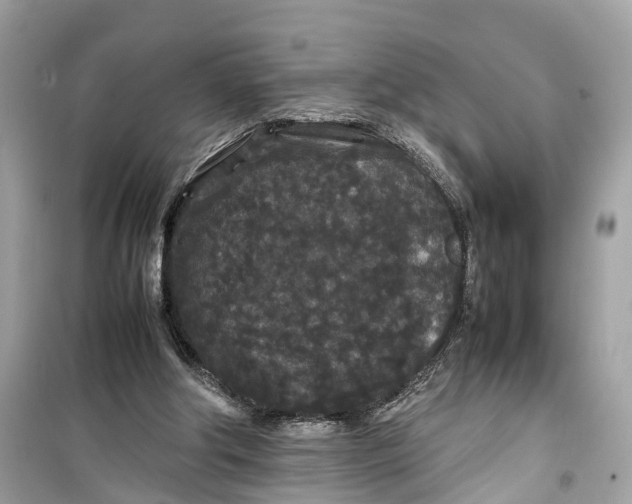 X0000099310202200805231410