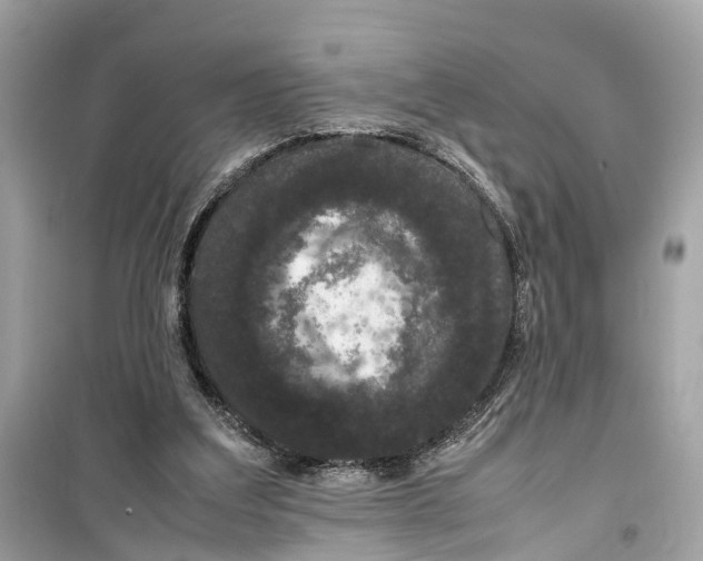 X0000099310203200805231410