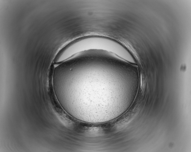 X0000099310204200805231410