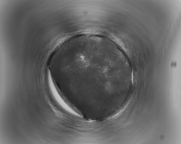 X0000099310205200805231410