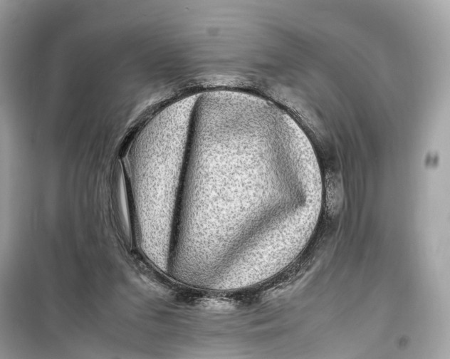 X0000099310207200805231410