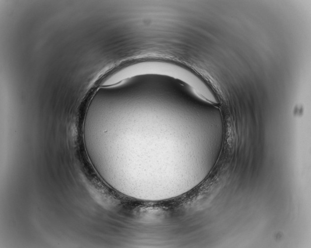 X0000099310208200805231410