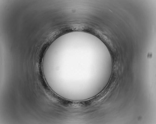 X0000099310209200805231410