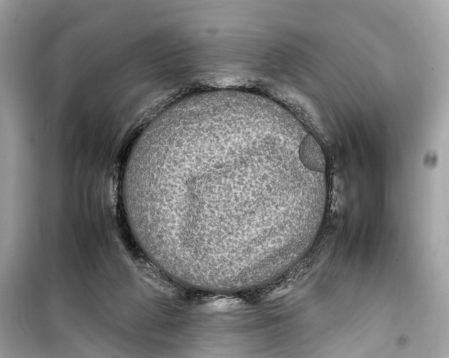 X0000099310210200805231410