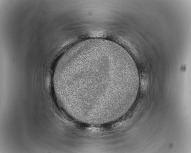 X0000099310211200805231410