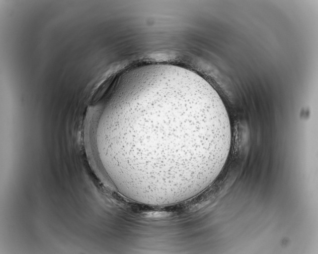 X0000099310212200805231410