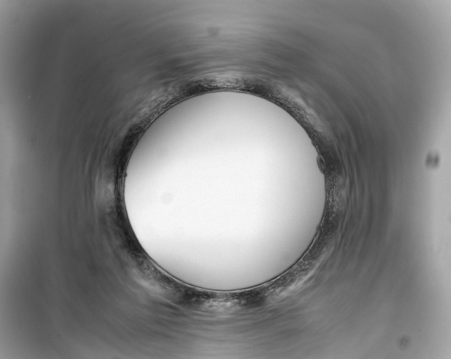 X0000099310213200805231410