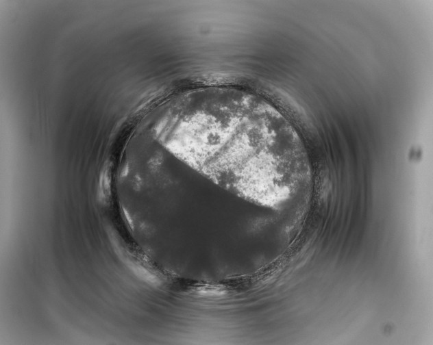 X0000099310214200805231410