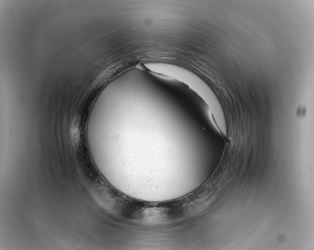 X0000099310216200805231410