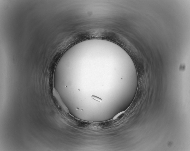 X0000099310217200805231410