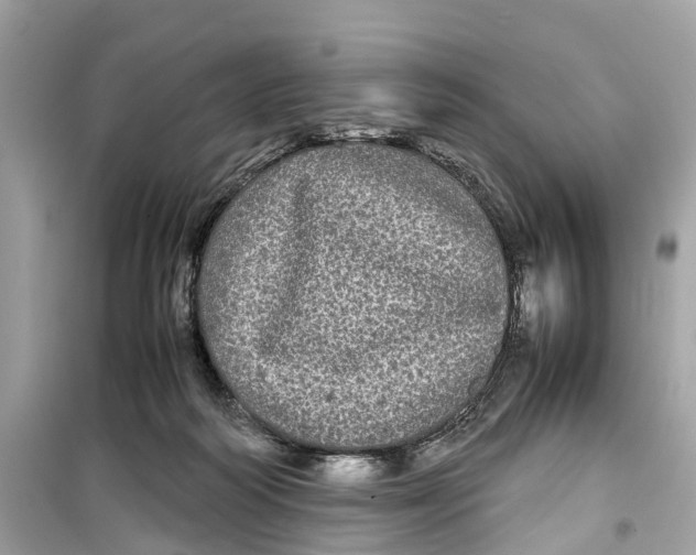 X0000099310218200805231410