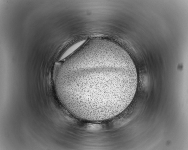 X0000099310220200805231410