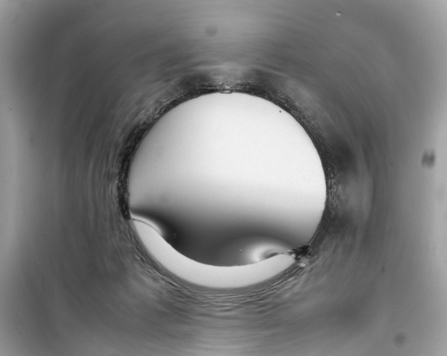 X0000099310221200805231410