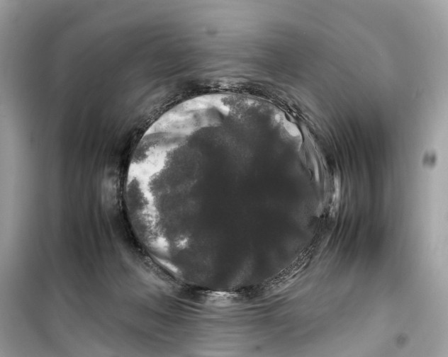 X0000099310222200805231410