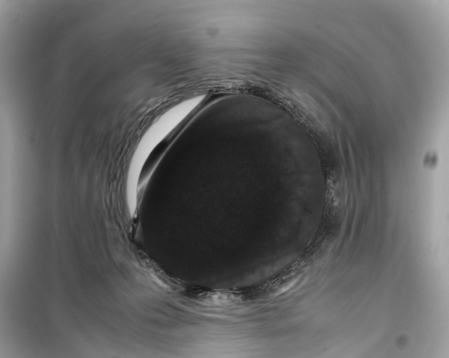 X0000099310223200805231410