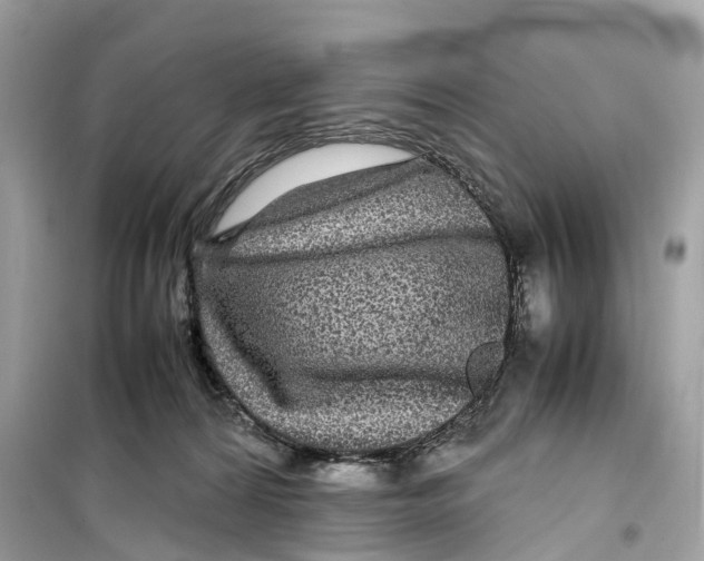 X0000099310224200805231410