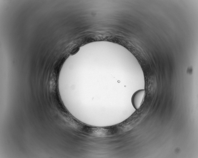 X0000099310226200805231410