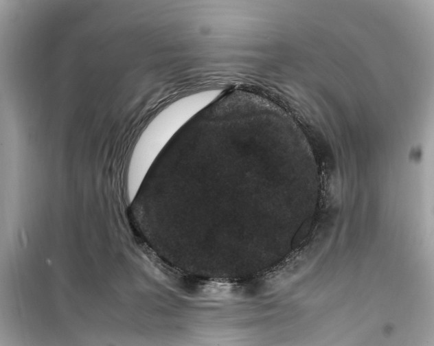 X0000099310227200805231410