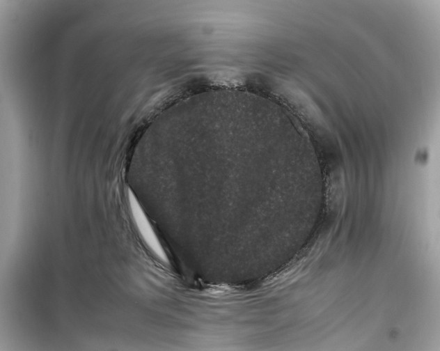 X0000099310229200805231410