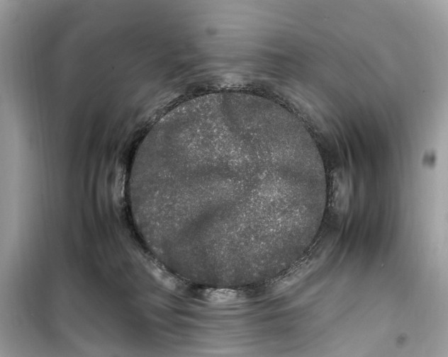 X0000099310230200805231410