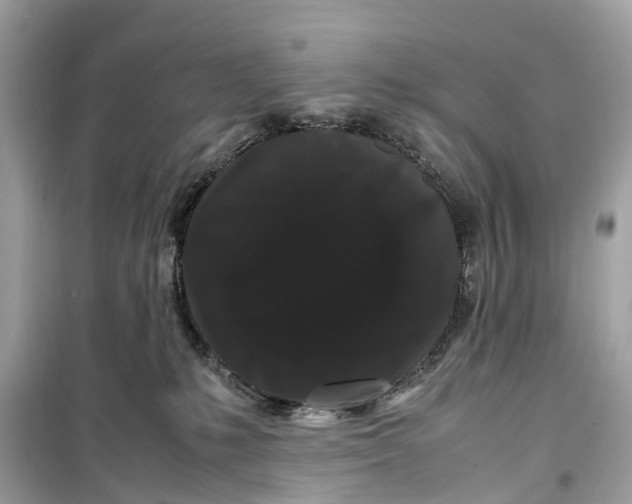 X0000099310231200805231410