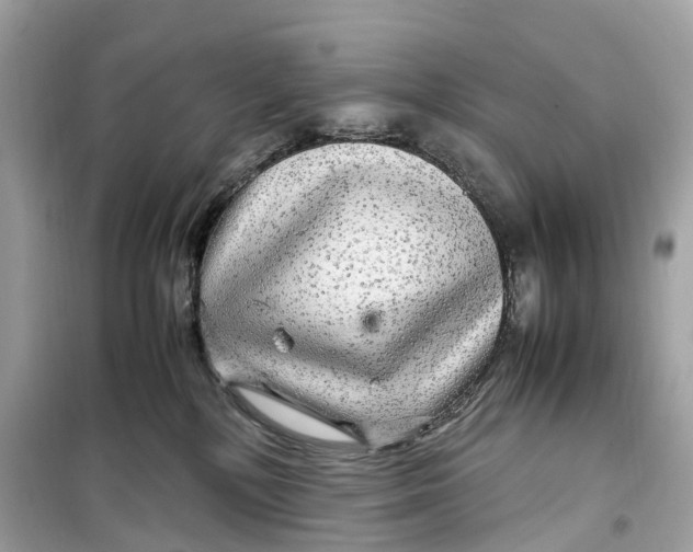 X0000099310232200805231410