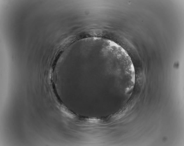 X0000099310233200805231410