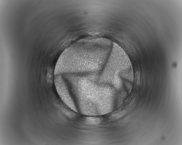 X0000099310234200805231410