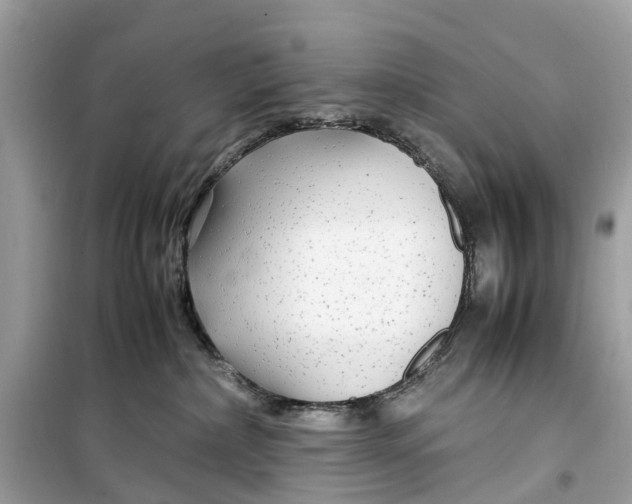 X0000099310236200805231410