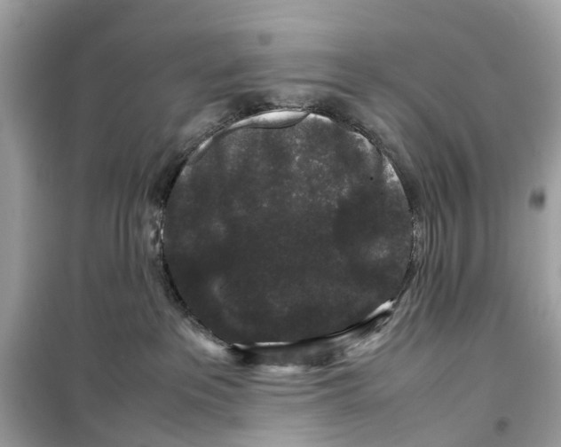 X0000099310237200805231410