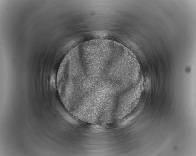 X0000099310238200805231410