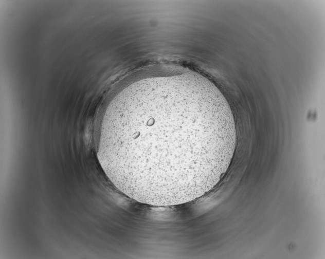 X0000099310240200805231410